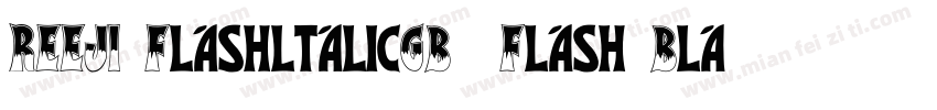 REEJI FlashltalicGB  Flash Black字体转换